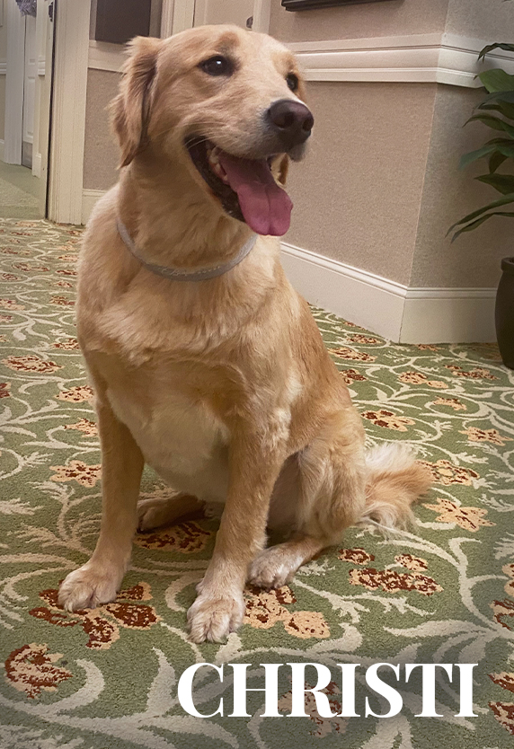 Community House Dog Christi Senior Living Community House Dog Christi