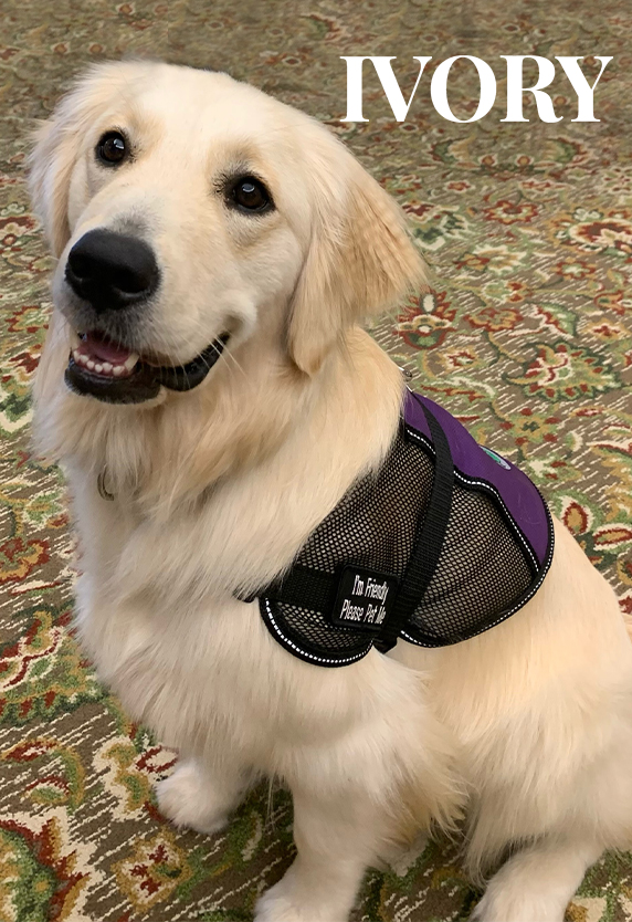 Pet Friendly Assisted Living Communities in Decatur