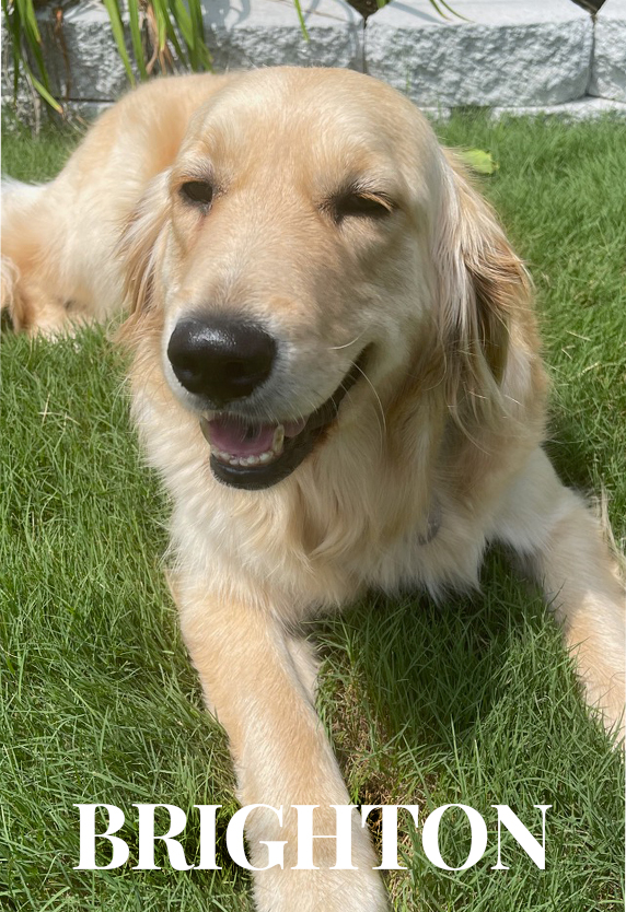 Pet Friendly Senior Living near Temple