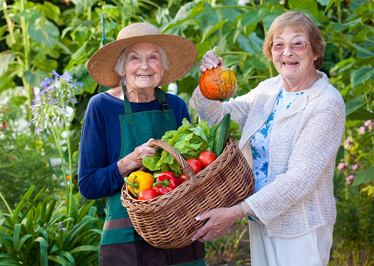 Memory Care Nursing Home Stockbridge