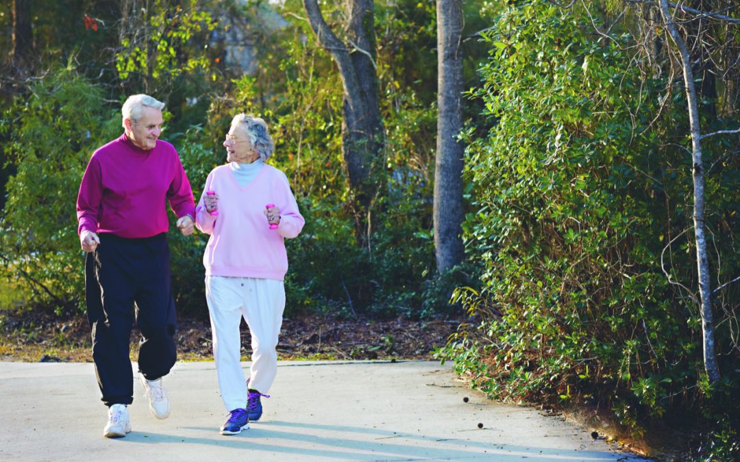 Creating a Senior Exercise Program For Both Physical Fitness and Fun