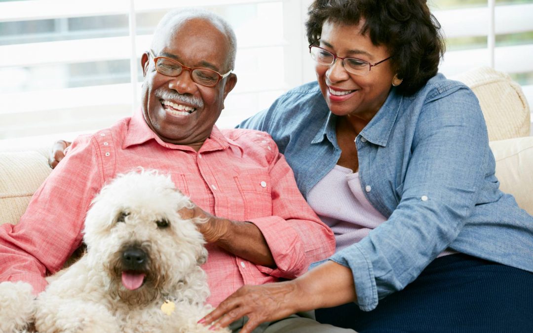 The Vital Role of Pets in Enhancing the Lives of Seniors
